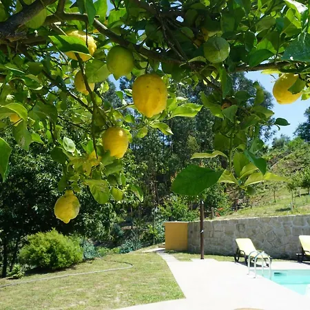 Semesterbostad Casa Das Lousas, Ponte De Lima Facha